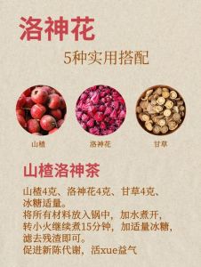 洛神花十大最佳搭配_洛神花蜂蜜甘草金银花乌梅枸杞健康饮