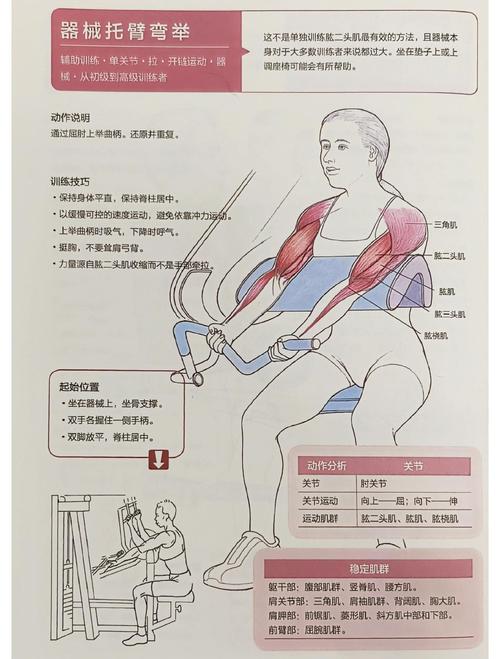 臂肌锻炼方法_肱二头三头肌锻炼法