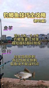 疯钓鲫单开好还是搭配好_单开与搭配效果详解