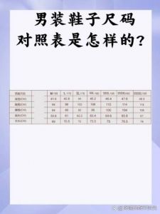 xs码适合多高的人穿_小身材穿对衣