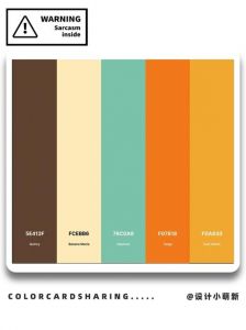 五组的配色体现高级_暖咖配橙黄显成熟